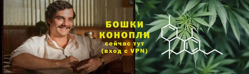 Марихуана THC 21%  kraken как зайти  Игра 